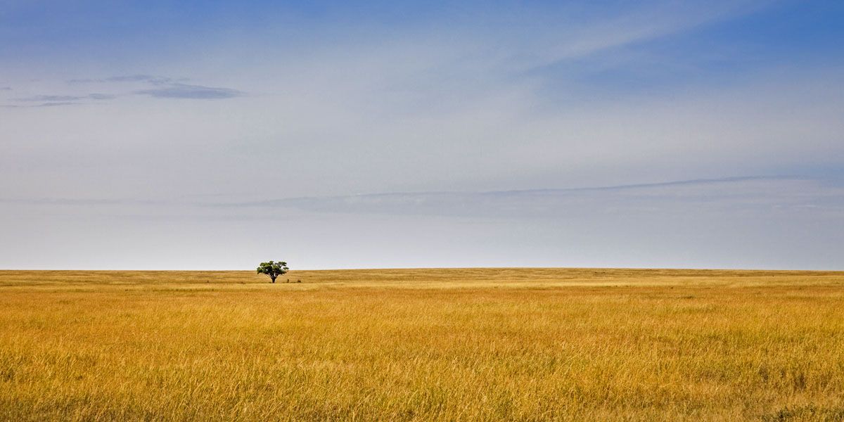 1200-Booking-safari-common-q