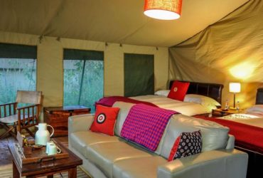 LemalaNgorongoro-768x384 LemalaNgorongoro-768x384