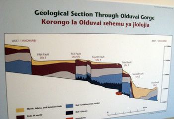 OlduvaiGorge-sm OlduvaiGorge-sm