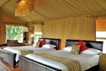 SerengetiLemalaMaraCamp-768x384 SerengetiLemalaMaraCamp-768x384