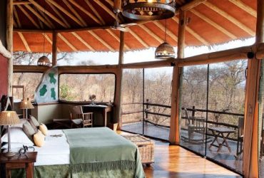 TarangireTreetops-768x384 TarangireTreetops-768x384