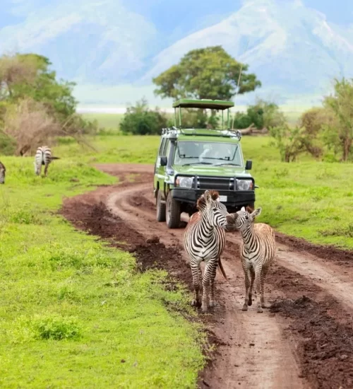 What-is-the-most-famous-safari-park-in-Tanzania