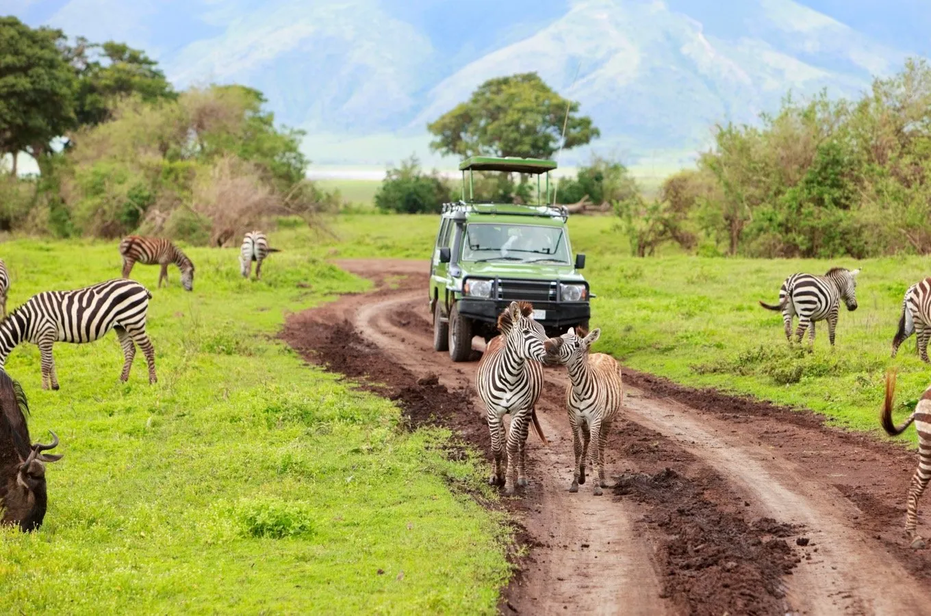 What-is-the-most-famous-safari-park-in-Tanzania