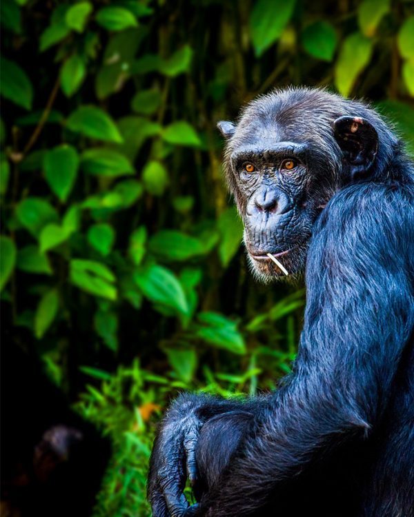 main-event main-event