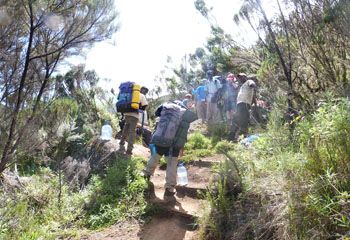 small-Kili-I small-Kili-I