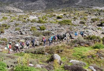 small-Kili-VI small-Kili-VI