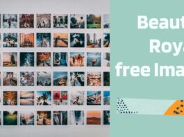 royalty-free-images-stock-photos