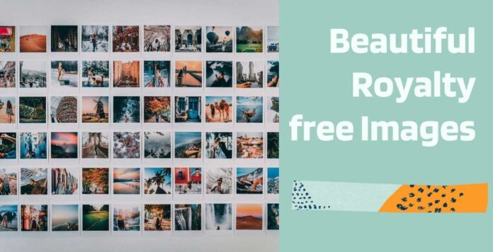 royalty-free-images-stock-photos