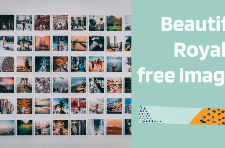 royalty-free-images-stock-photos